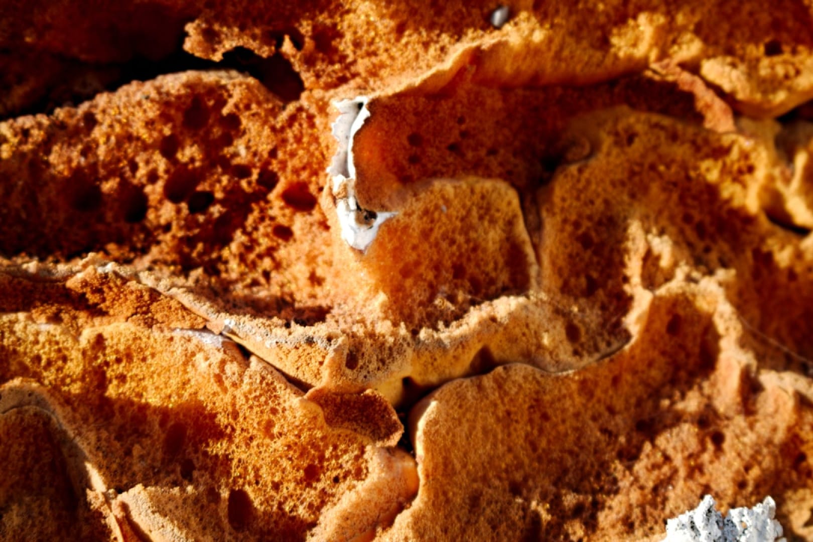 Best gingerbread cupcake recipe